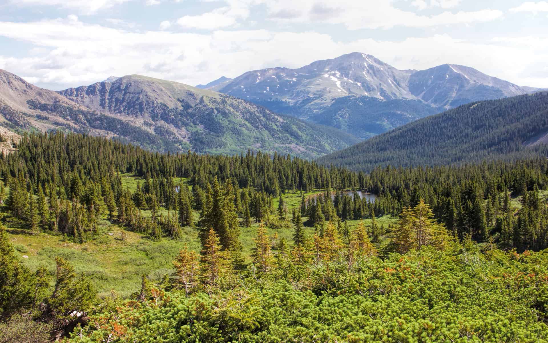 A forested valley with a lake nestled among the trees and snow-streaked mountains rising beyond