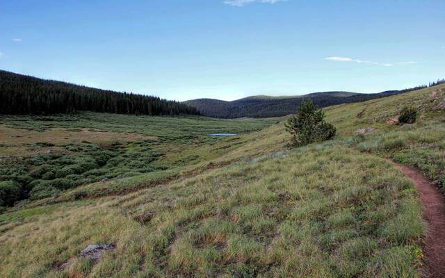 A grassy alpine meadow with a small pond tucked among low hills along the trail