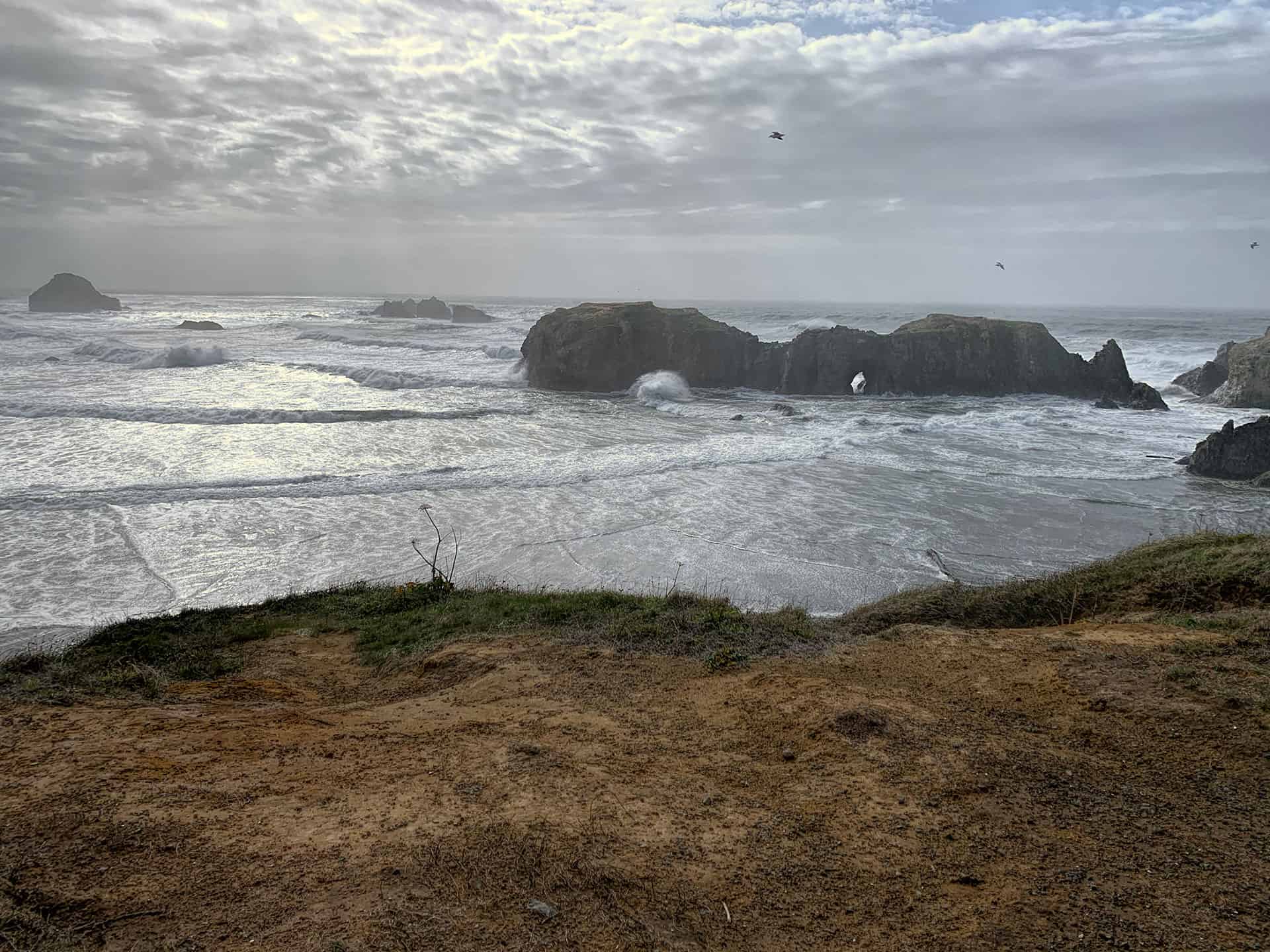 Sea stacks and crashing waves seen through fog at Bandon, Oregon
