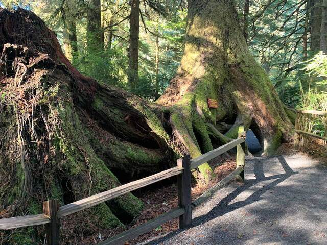 Trees of Mystery, Klamath, California