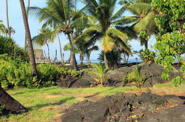 Turning 50 in Hawaii - Week 1