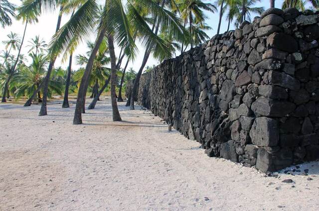 A long lava rock wall lined with palm trees along the white sand at Pu'uhonua O Hōnaunau