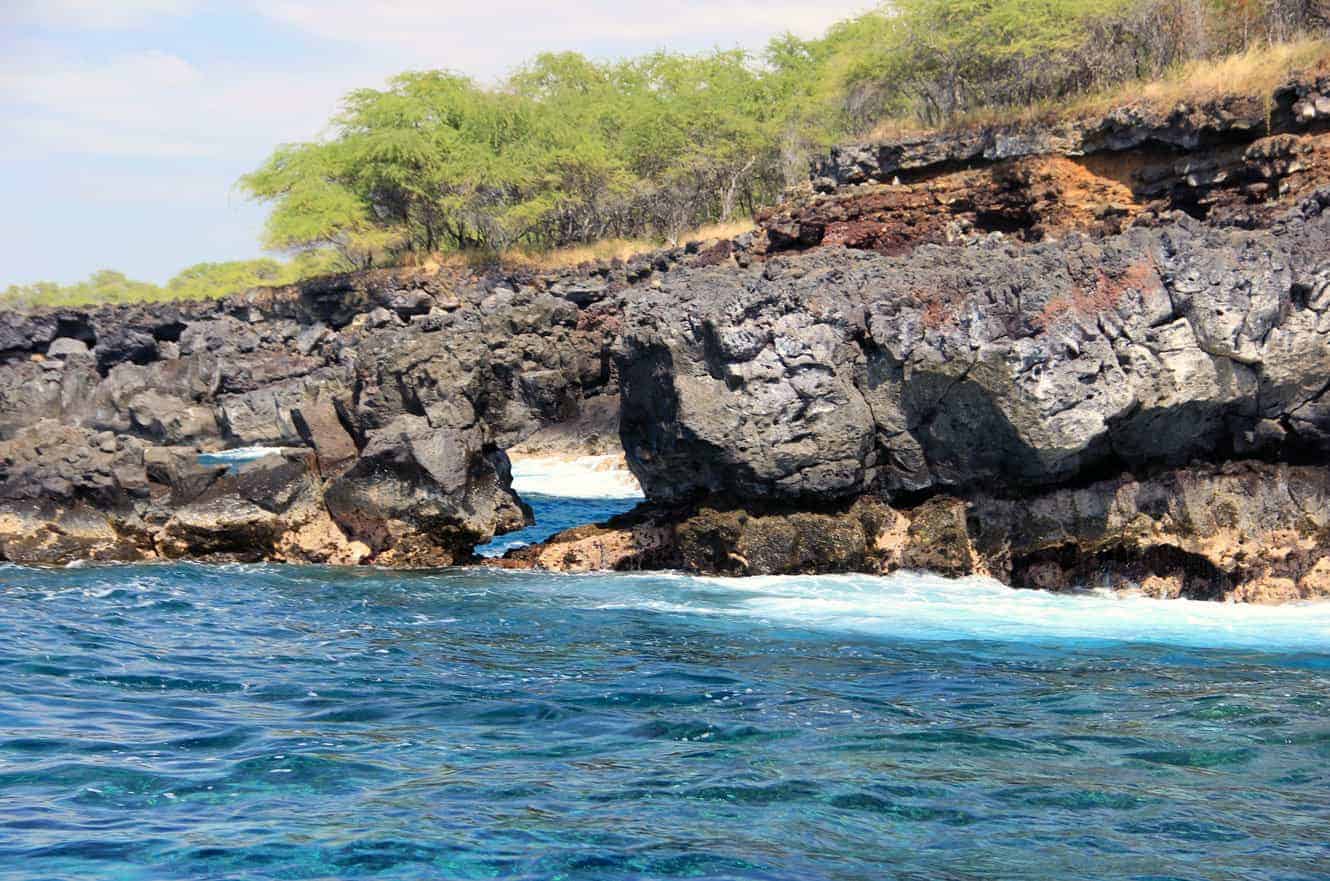 A lava rock arch with waves breaking through, framed by trees along the cliff top