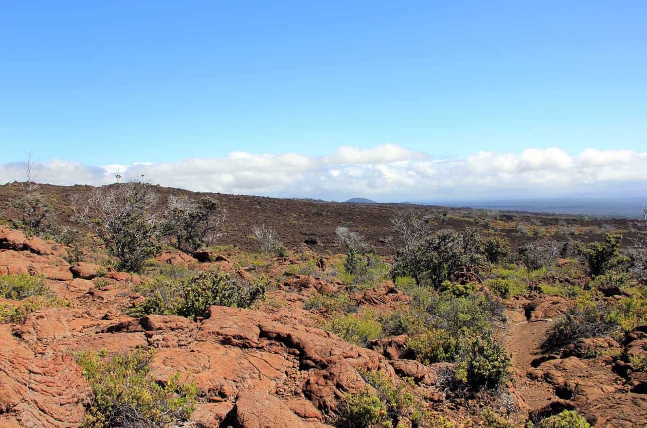 A reddish, rocky trail winding through shrubs with dark lava fields beyond