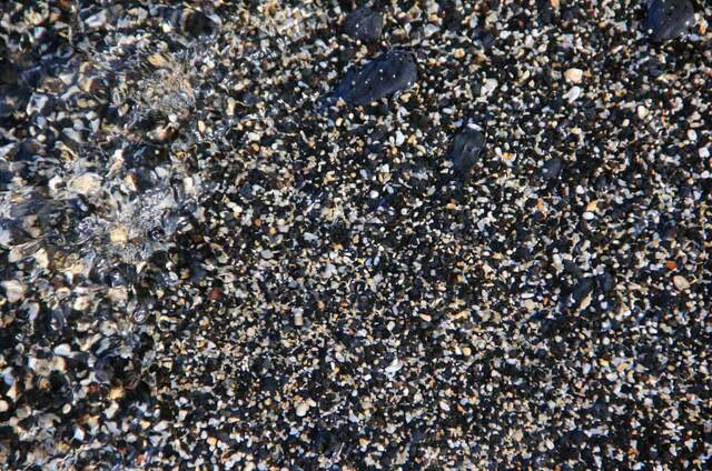 Close-up of small black and tan pebbles at the water's edge