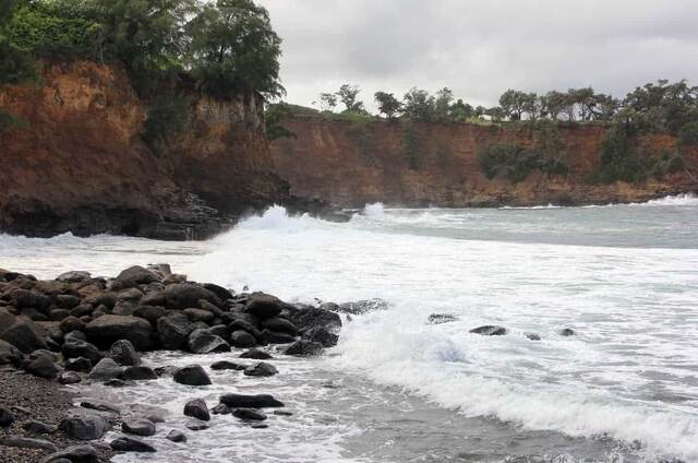 Waves breaking along a rocky coastline beneath a tree branch, with cliffs in the distance