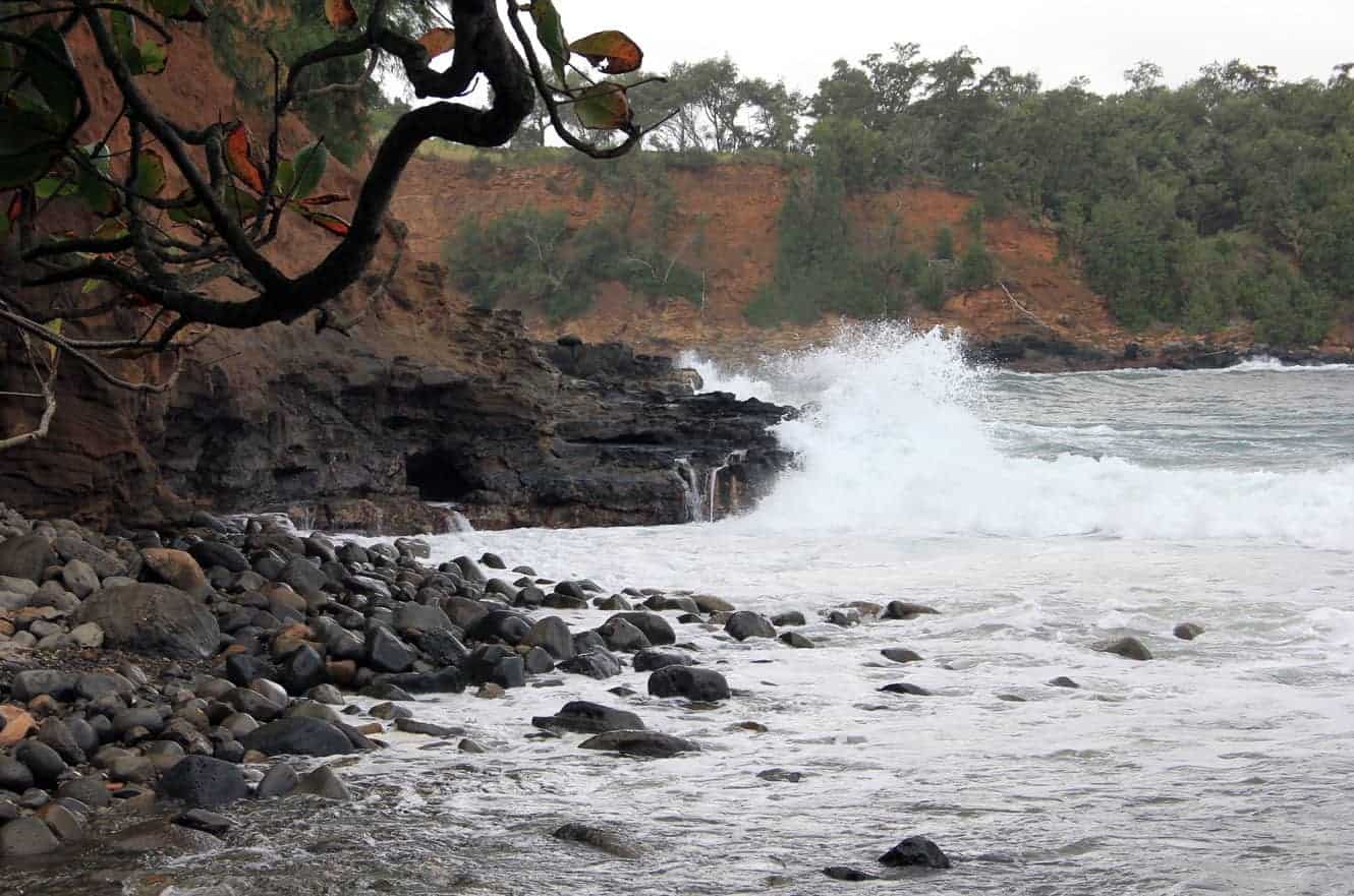 Large waves crashing against dark cliffs beneath overhanging tree branches