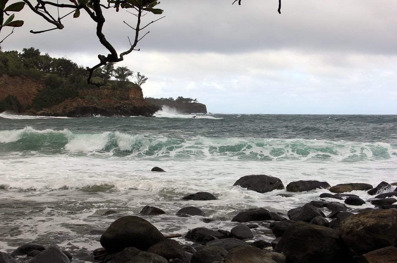 Stormy waves rolling in along a rocky coastline beneath a leafy branch
