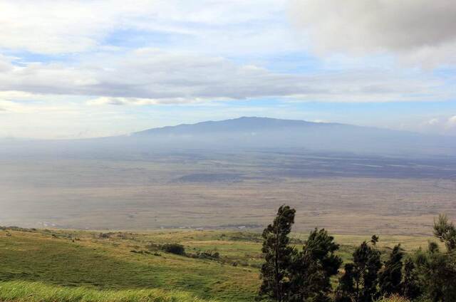 Mauna Loa rising above the plains, seen from the pasture in hazy afternoon light