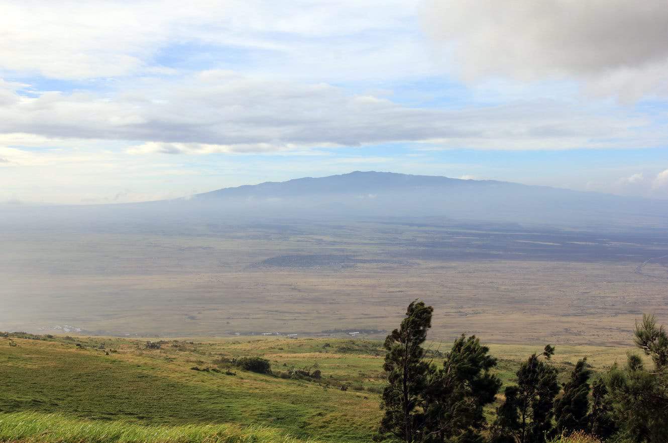 Mauna Loa rising above the plains, seen from the pasture in hazy afternoon light
