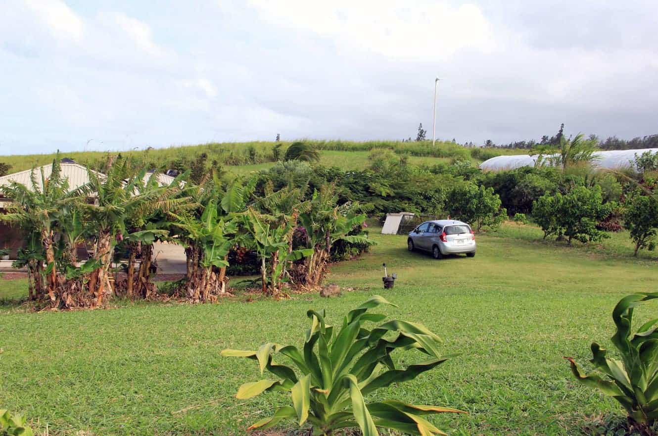 A silver car parked near banana trees and a garden shed, with rolling green hills beyond