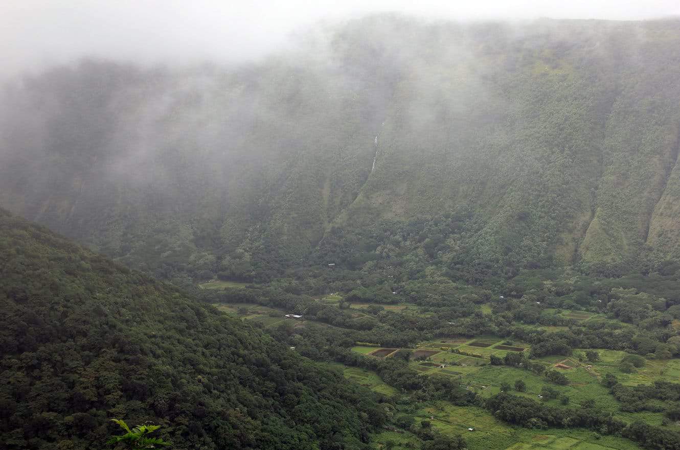 Fog and low clouds drifting over the forested cliffs and taro fields of Waipio Valley
