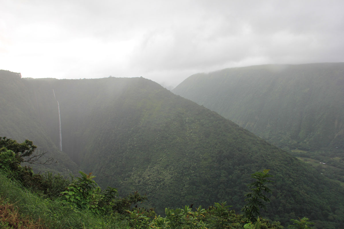 A waterfall dropping through the misty, forested cliffs of Waipio Valley