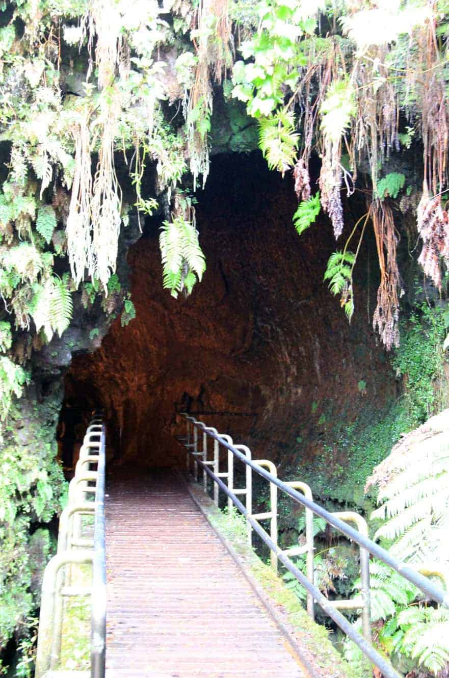 Wooden boardwalk leading into the entrance of the Thurston Lava Tube, framed by hanging ferns