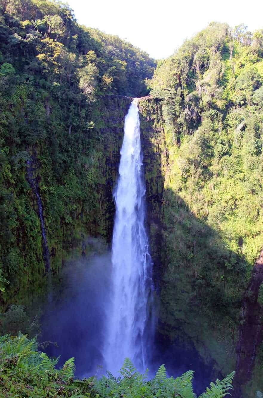 Akaka Falls plunging into a stream-eroded gorge surrounded by dense rainforest