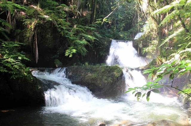 A multi-tiered waterfall cascading through the rainforest at Hawaii Tropical Botanical Garden