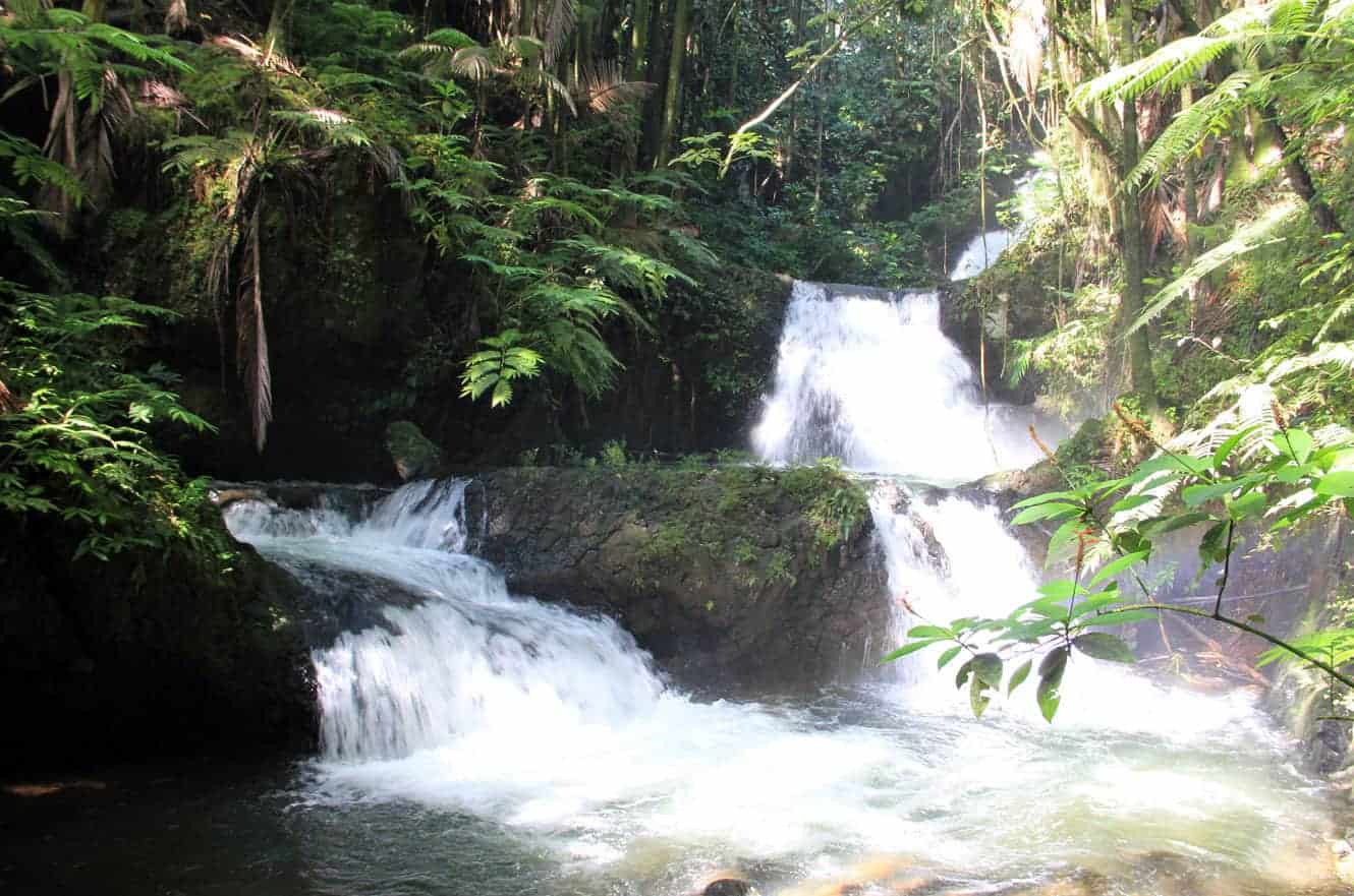 A multi-tiered waterfall cascading through the rainforest at Hawaii Tropical Botanical Garden