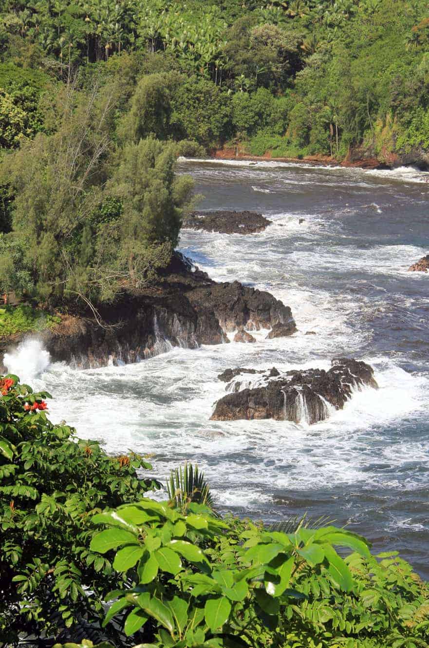Waves breaking over rocky outcrops along a jungle river mouth at Hawaii Tropical Botanical Garden