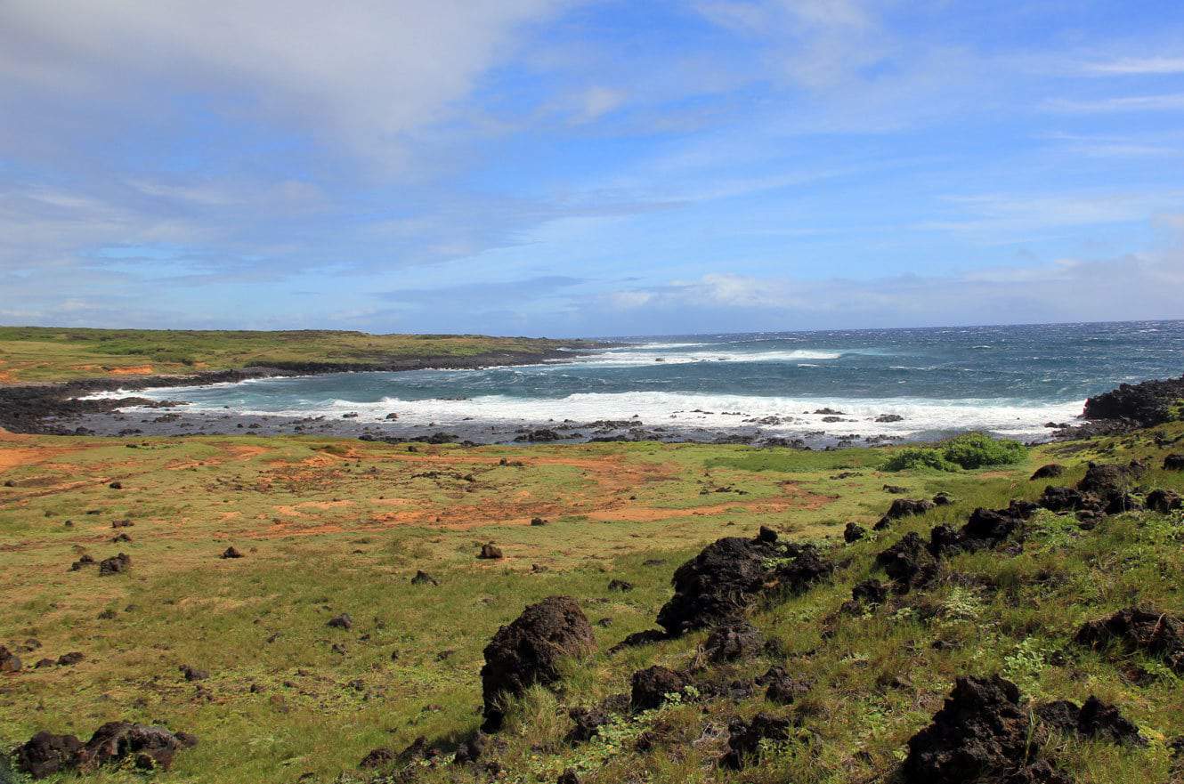 A grassy volcanic coastline with waves rolling into a rocky cove