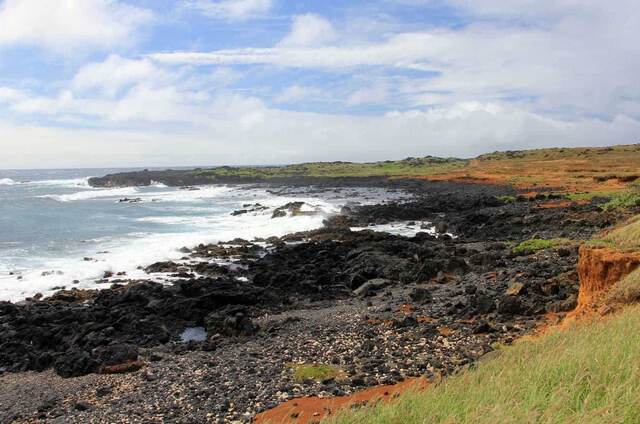 Rocky lava coastline meeting the ocean along a grassy shoreline
