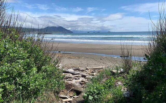 A driftwood-lined path through beach grass leading down to the sand and ocean, with a misty headland in the distance