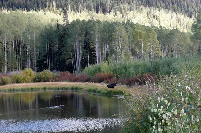 Willow Heights Trail, Big Cottonwood Canyon UT